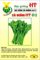 Cải Ngồng HT 01